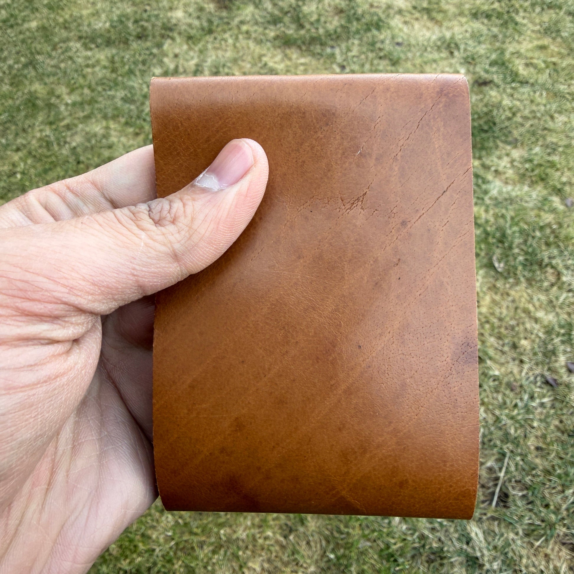 Hand holding a brown leather wallet against a grassy background